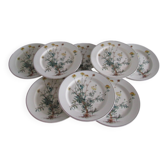 Lot de 8 assiettes plates de Villeroy & Boch