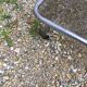 Vintage wheel bar trolley