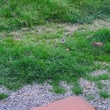 Vintage 1960s mahogany dressing table chest of drawers