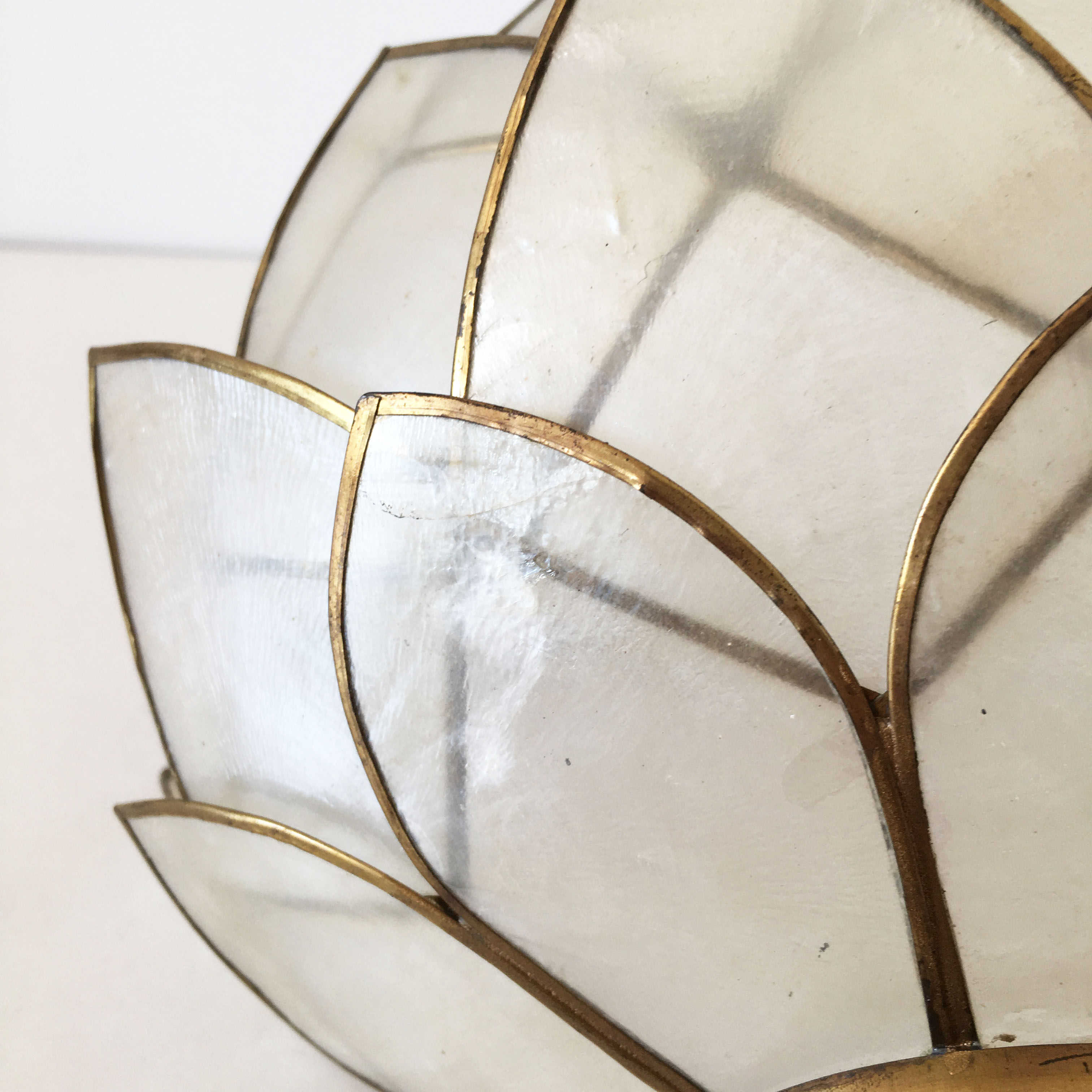 Vintage mother-of-pearl petals sconce