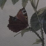 Botanical board framed PJ Dreaded