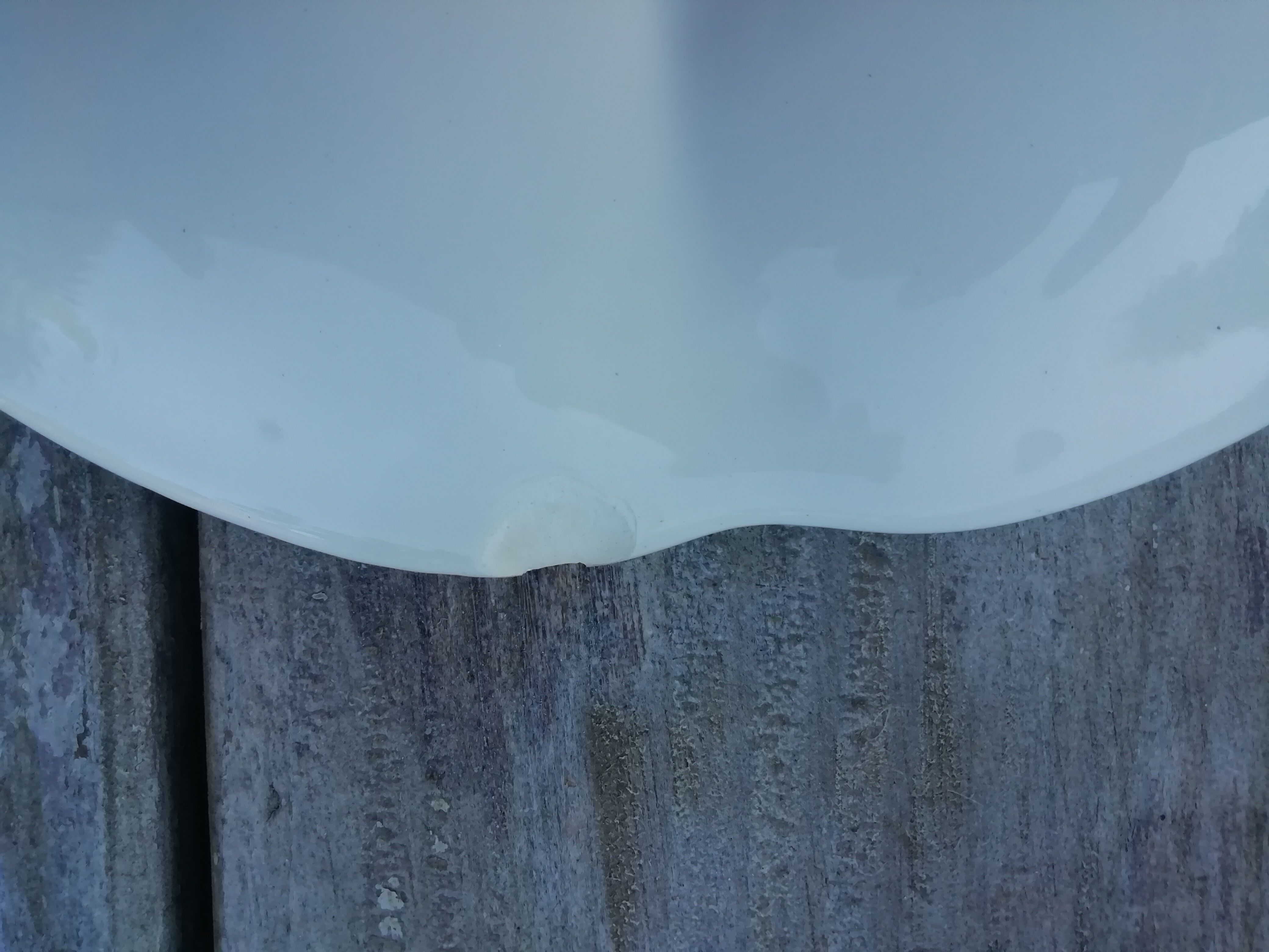 Pair of Gien oyster plates