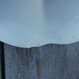 Pair of Gien oyster plates