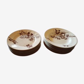 Service plates earthenware of decoration of birds