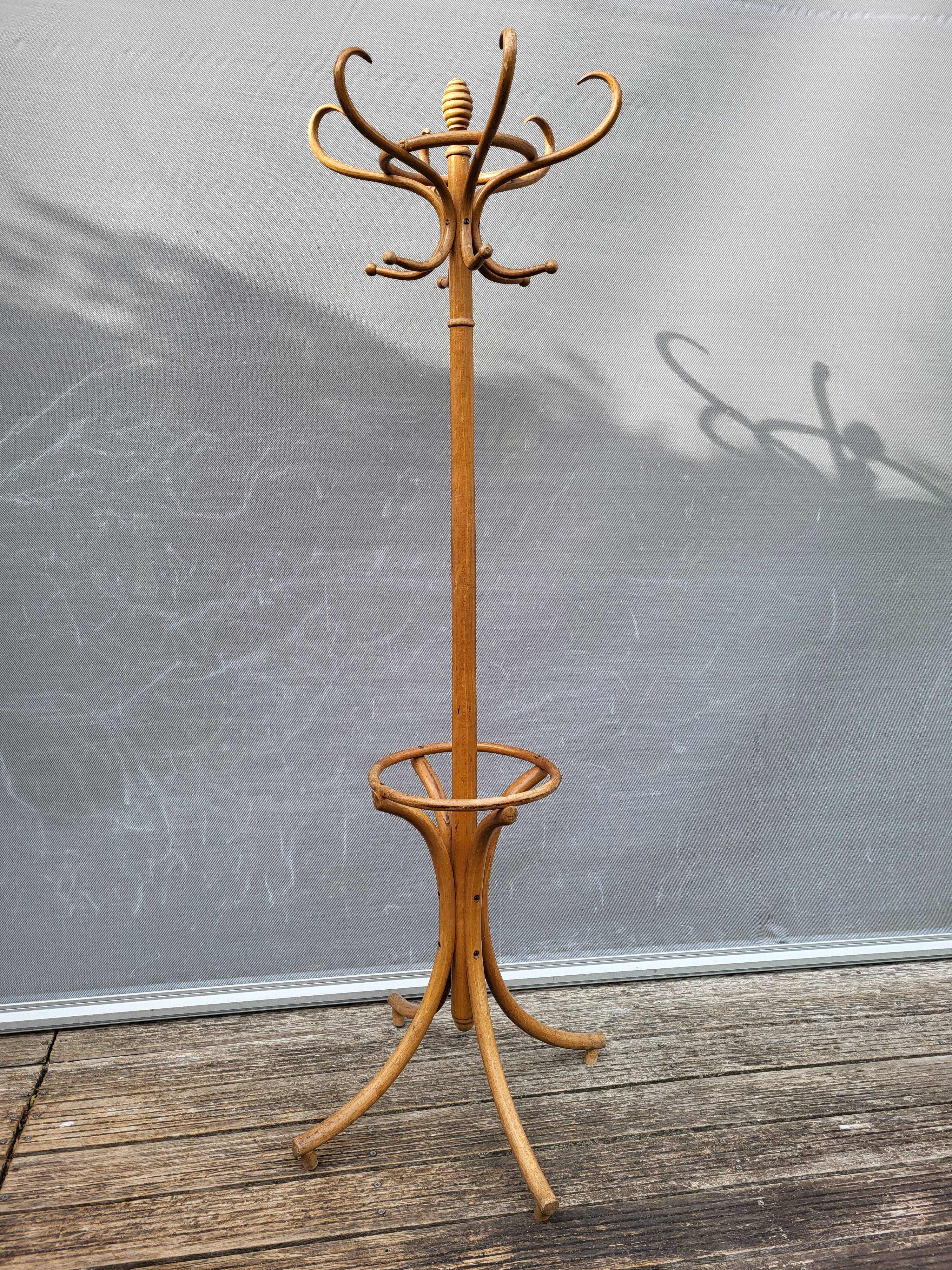 Parrot curved wood coat rack