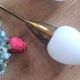 Duo d'appliques torche