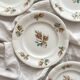 4 polychrome ironstone dessert plates with flowers, KG Lunéville