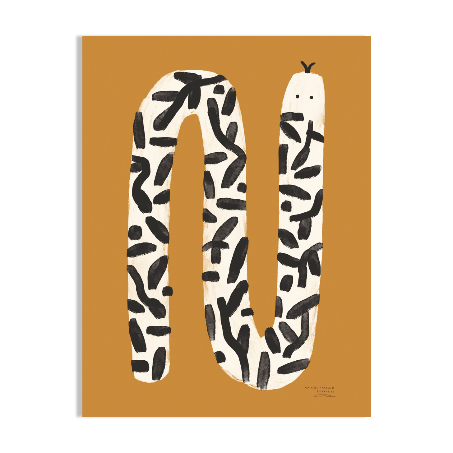 Wall poster snake plant pattern 50cm * 70cm