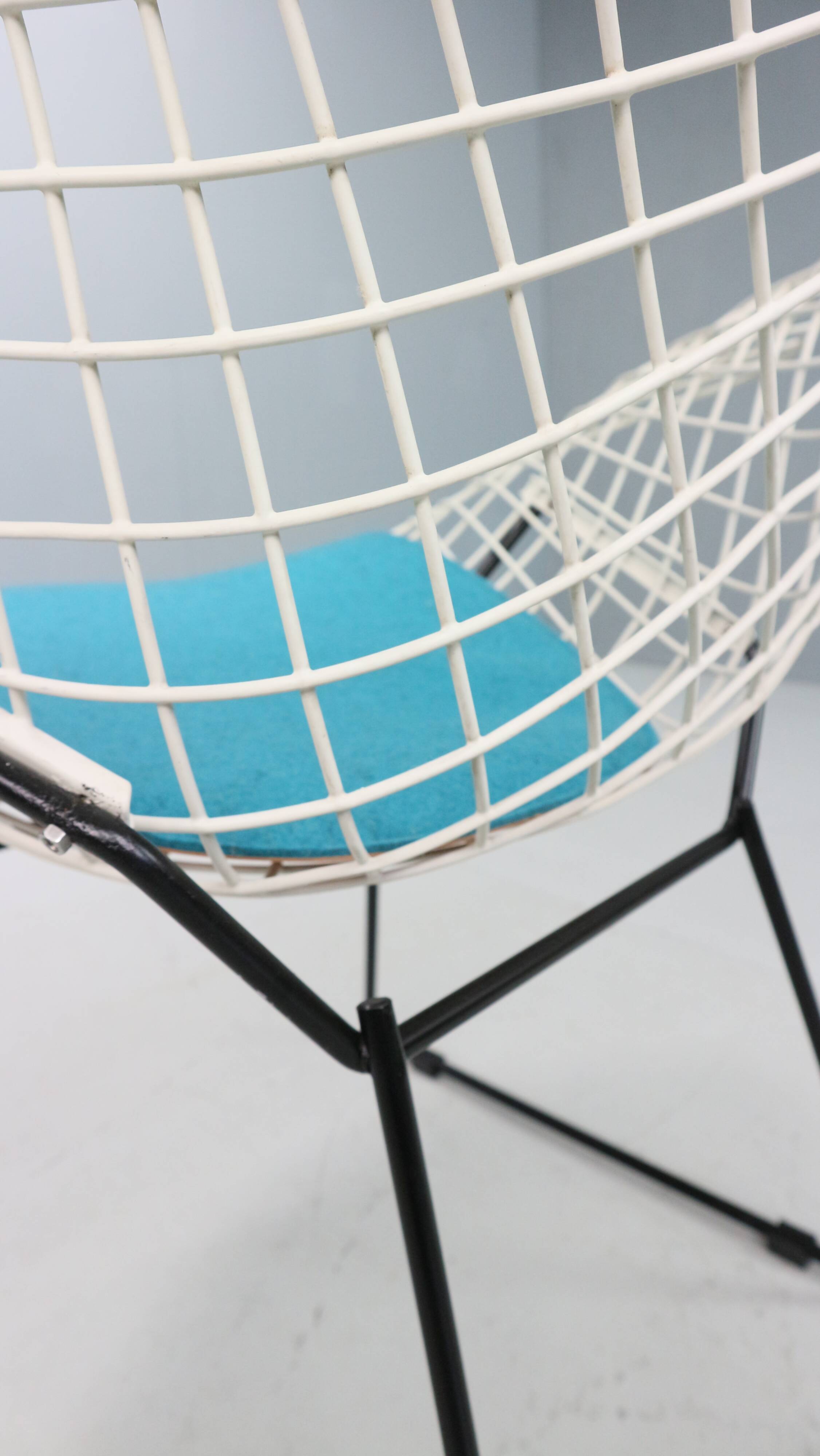 Diamond chair by Harry Bertoia in white & black metal and new blue seating