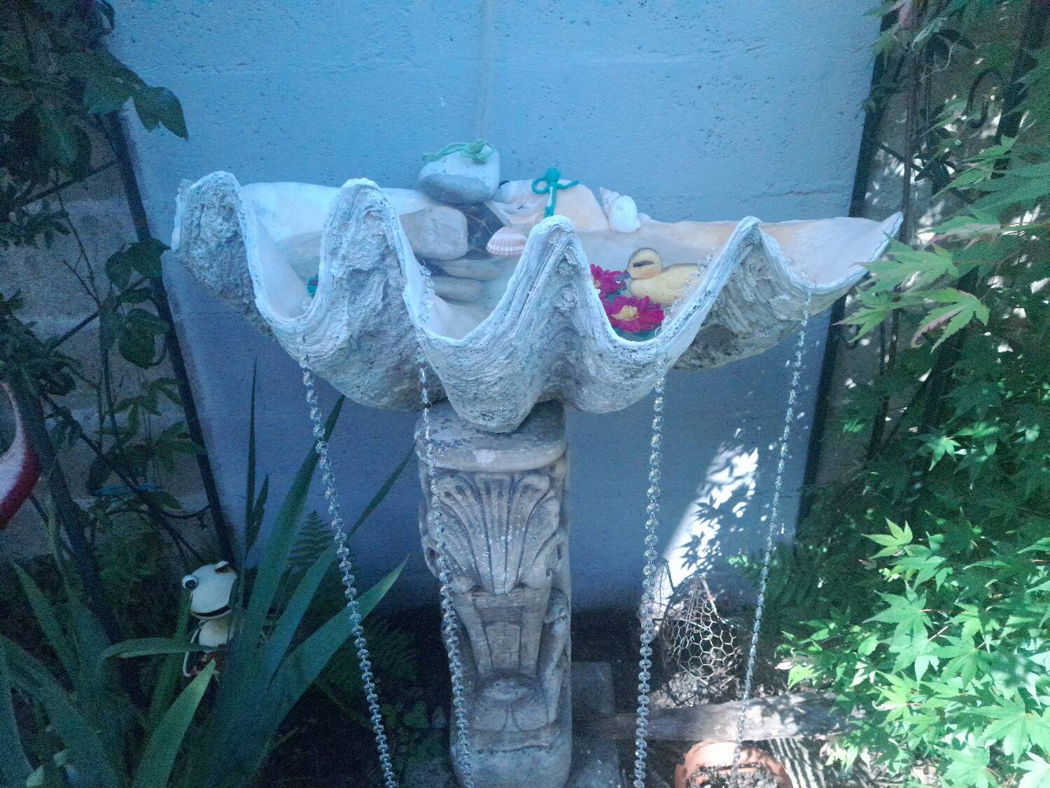 Tridacna shell (86 cm) – on base – rare and decorative