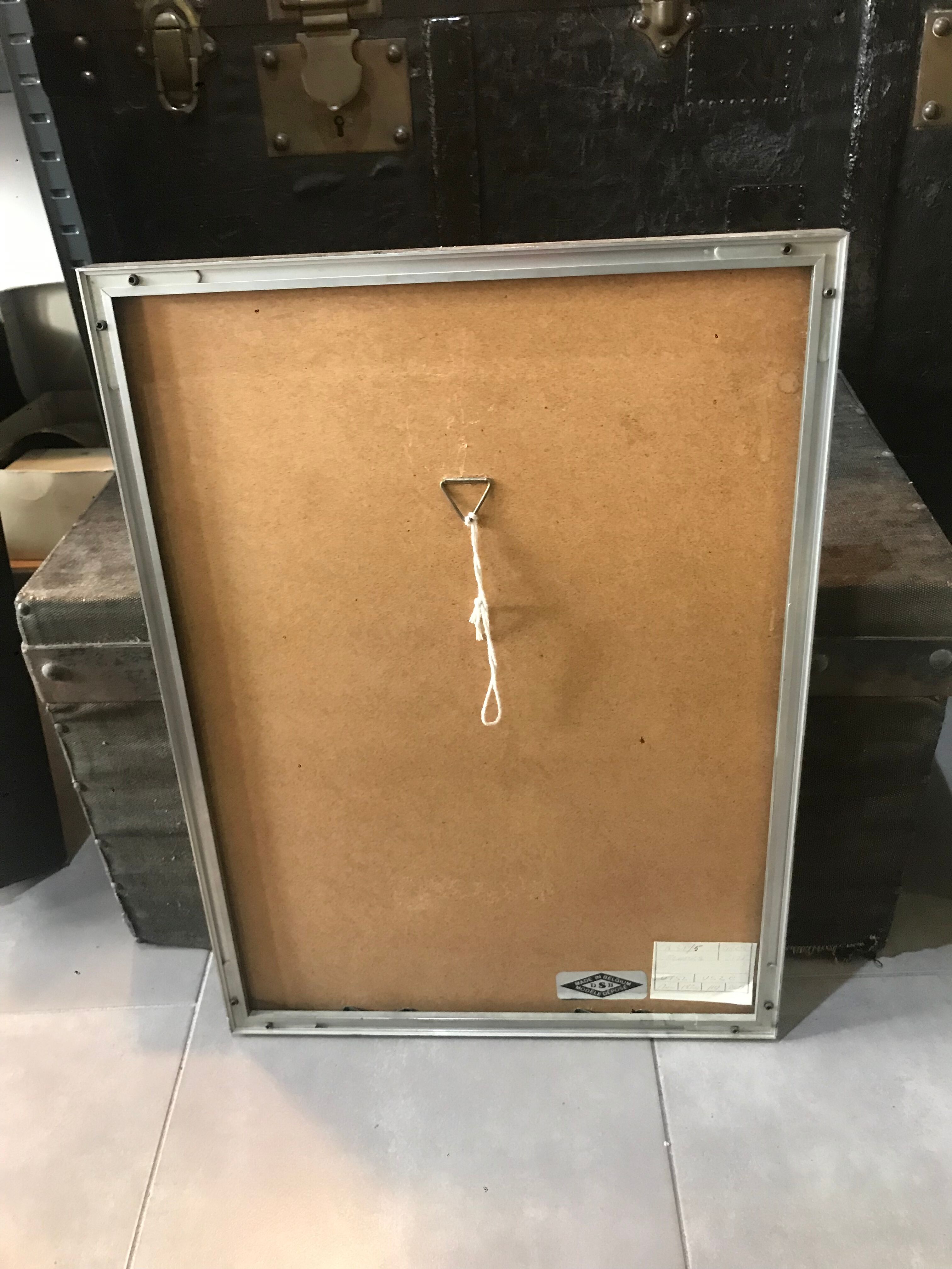 Botanical illustration