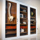 Old pharmacy showcase