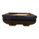 Pot à Bonzaï