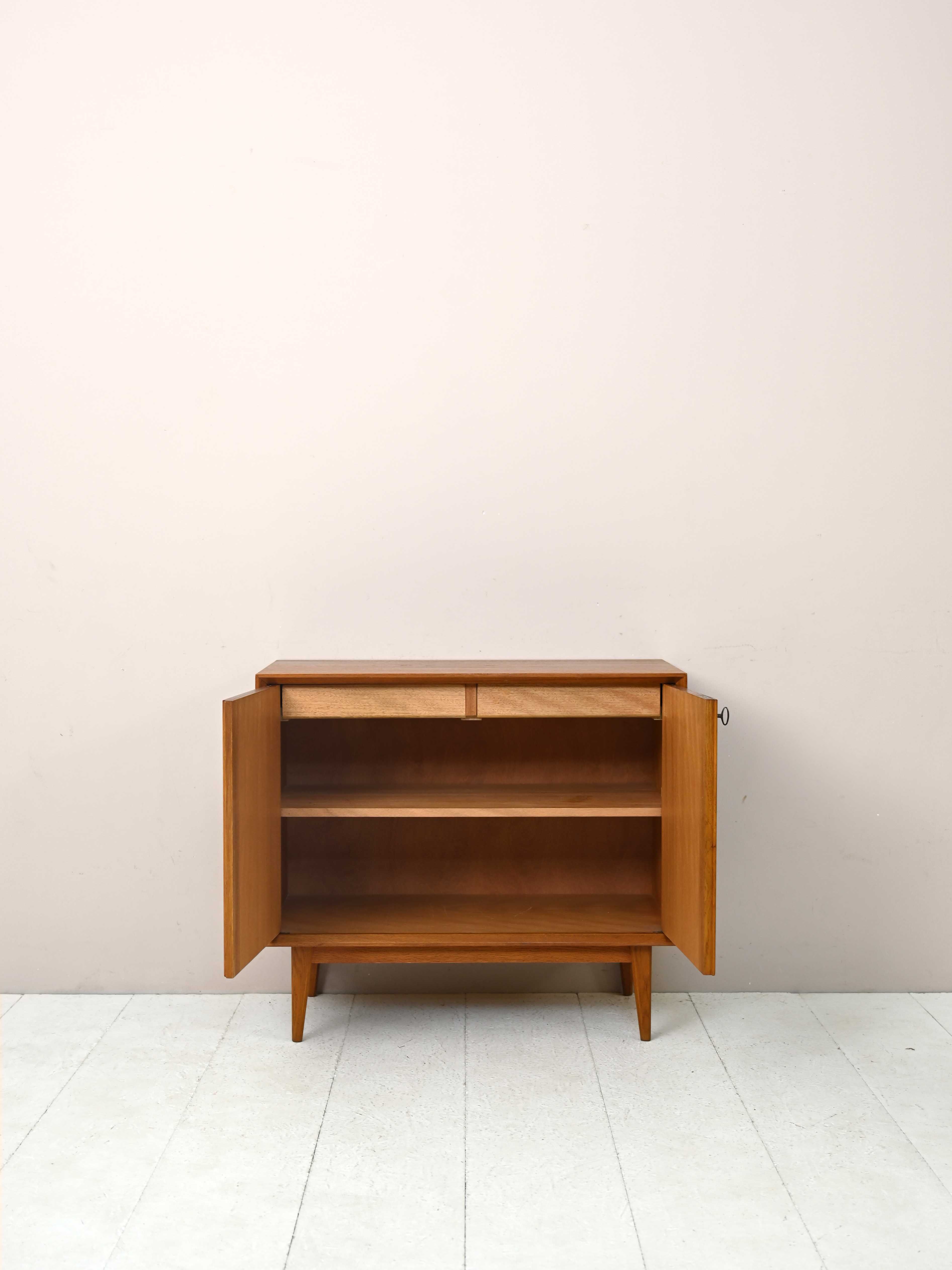 1960s teak cabinet with hinged doors