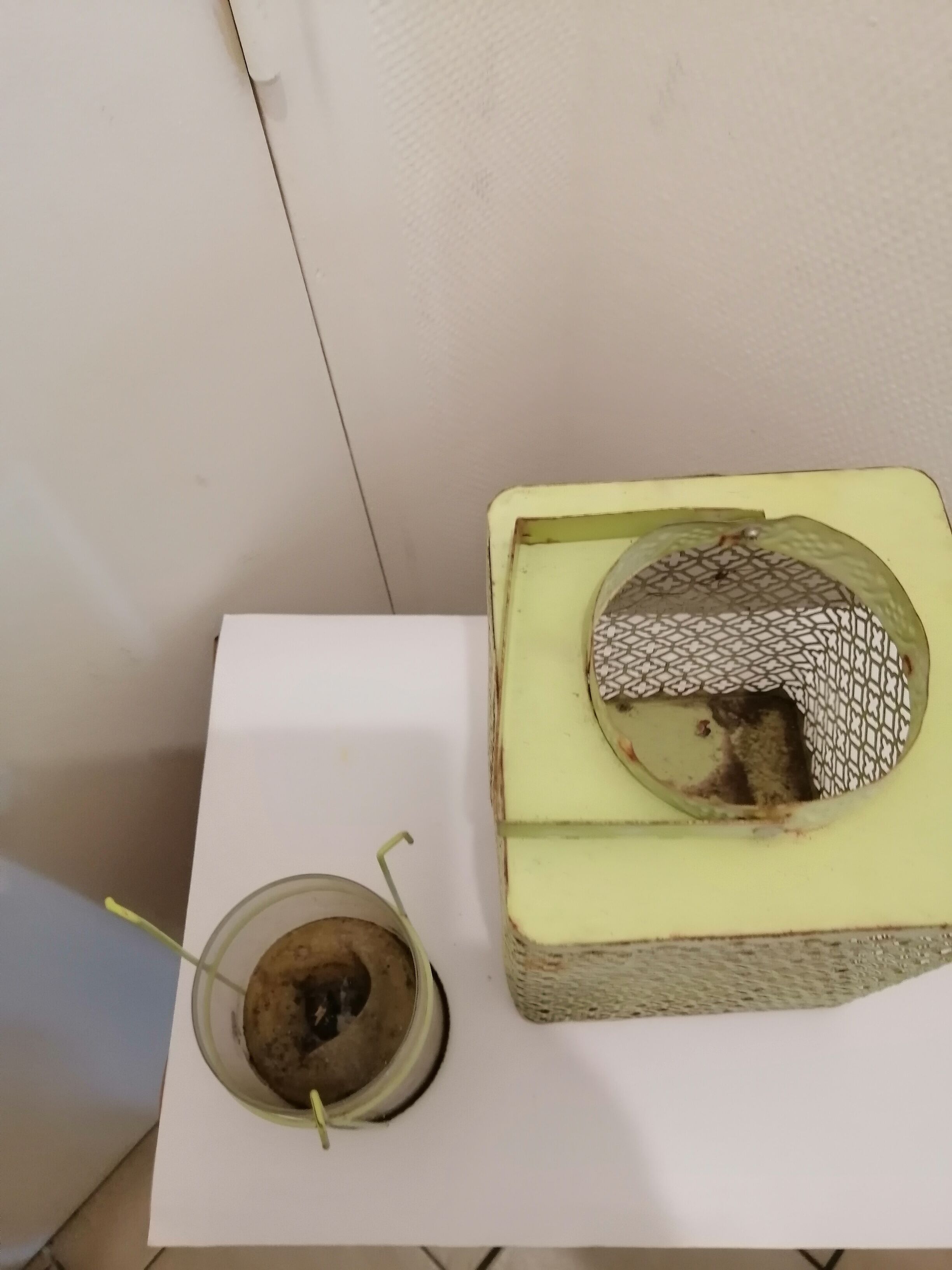 Metal lanterns with garden candles