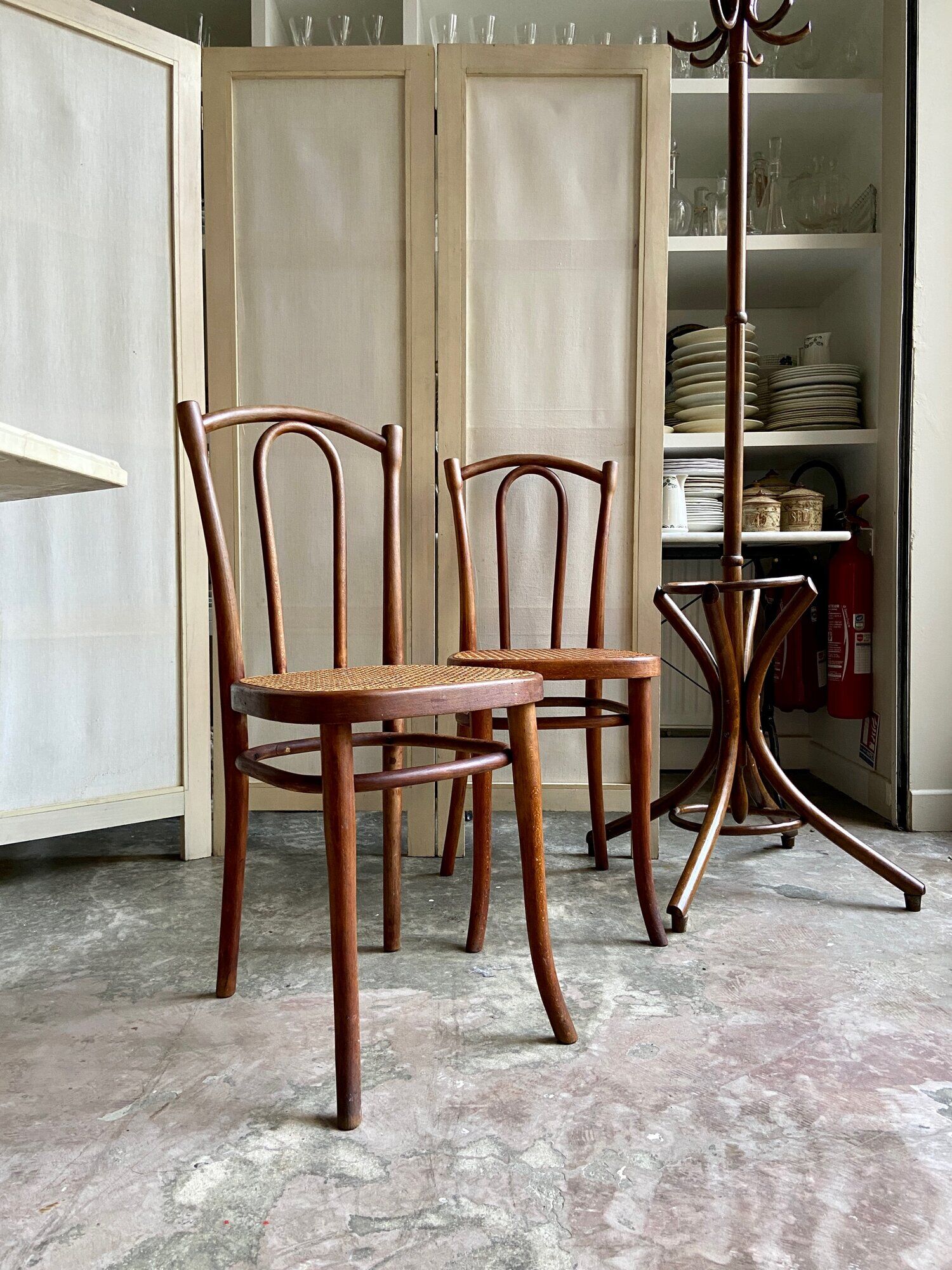 Chair 56 in arched beech and canning by Michael Thonet for Thonet Wien