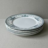 6 large ironstone plates, Badonviller France, D 24 cm