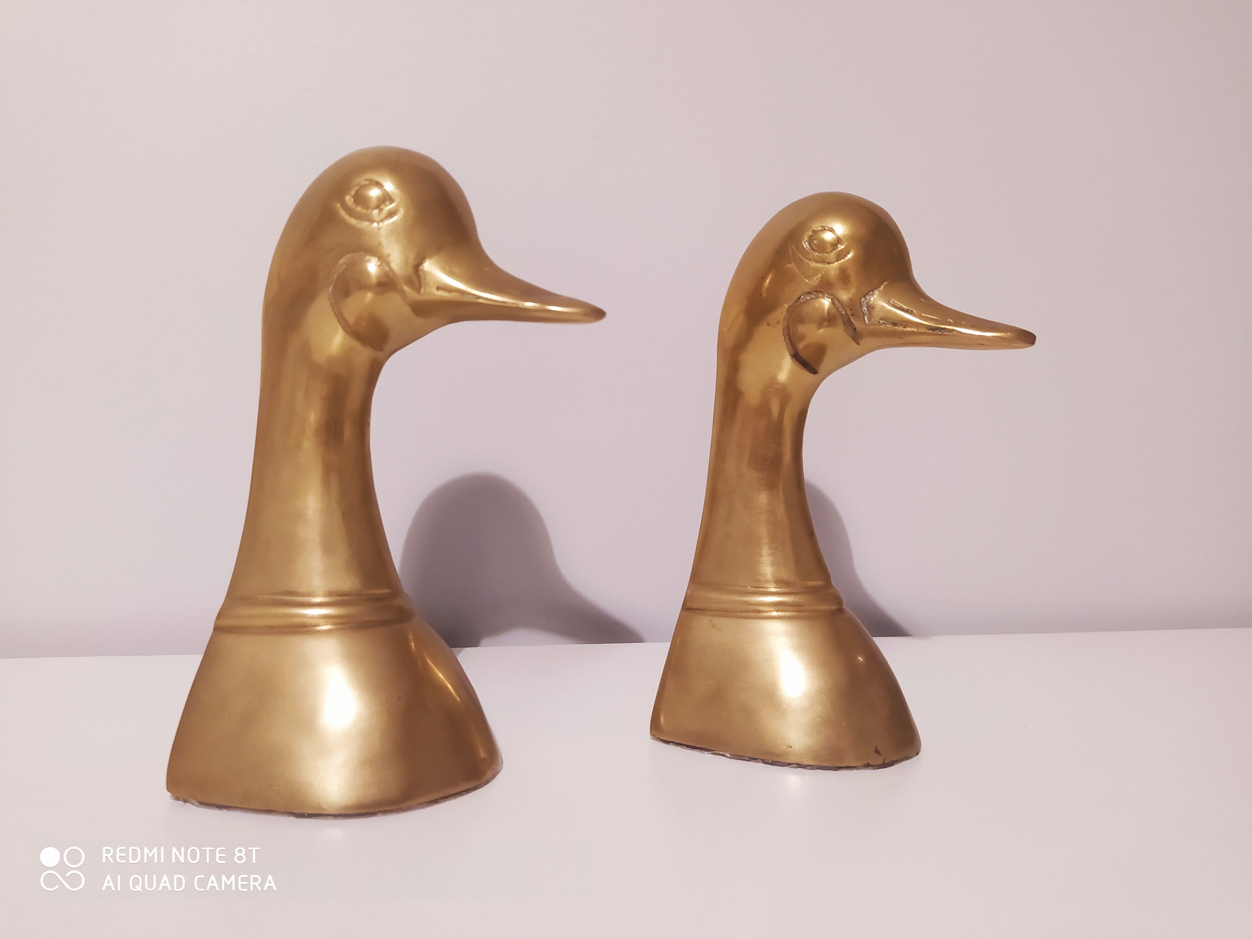 Pair of Greenhouse books duck in brass bronze
