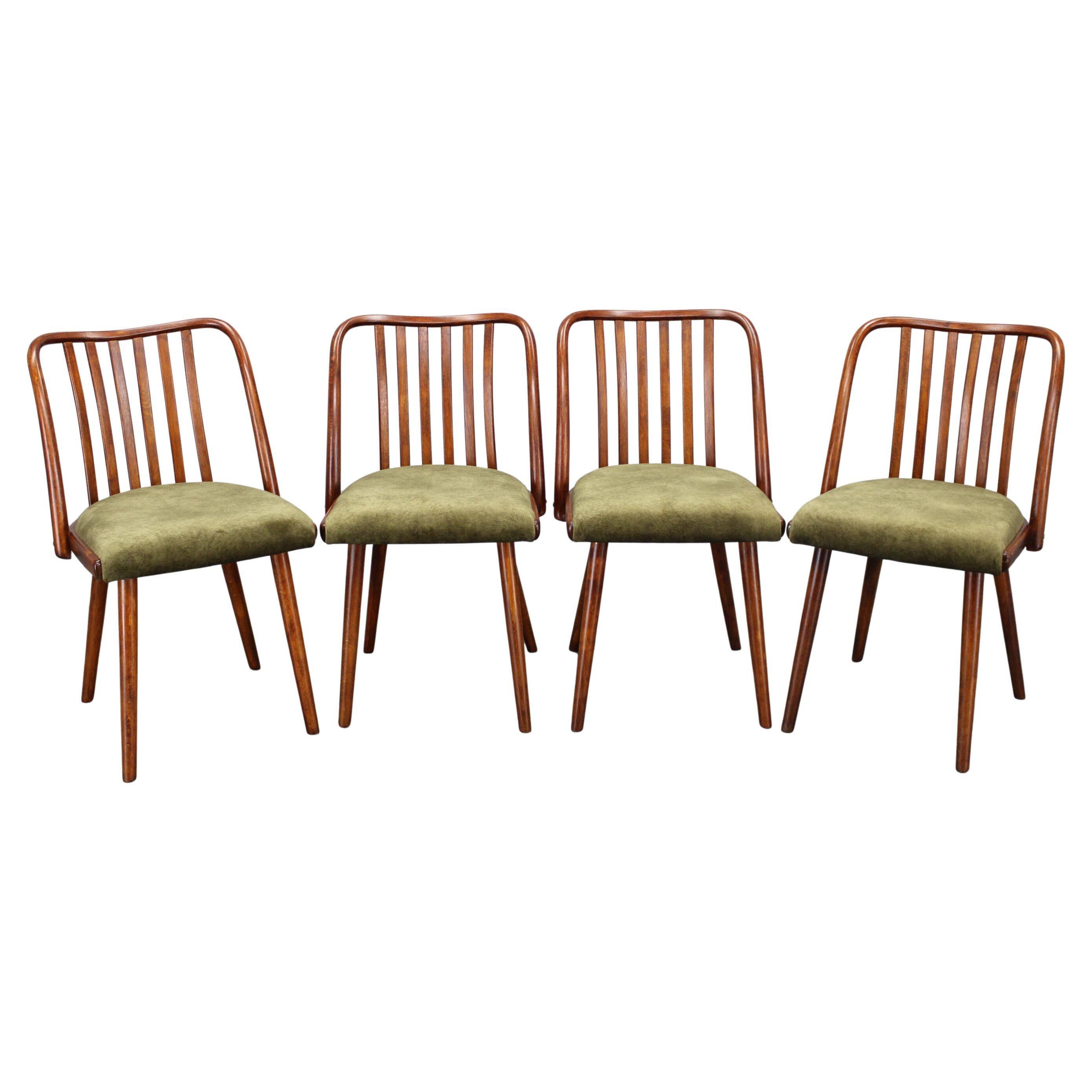 Ensemble de quatre chaises de salle à manger Šuman en hêtre, style milieu du siècle, datant des années 1960, avec revêtement restauré.