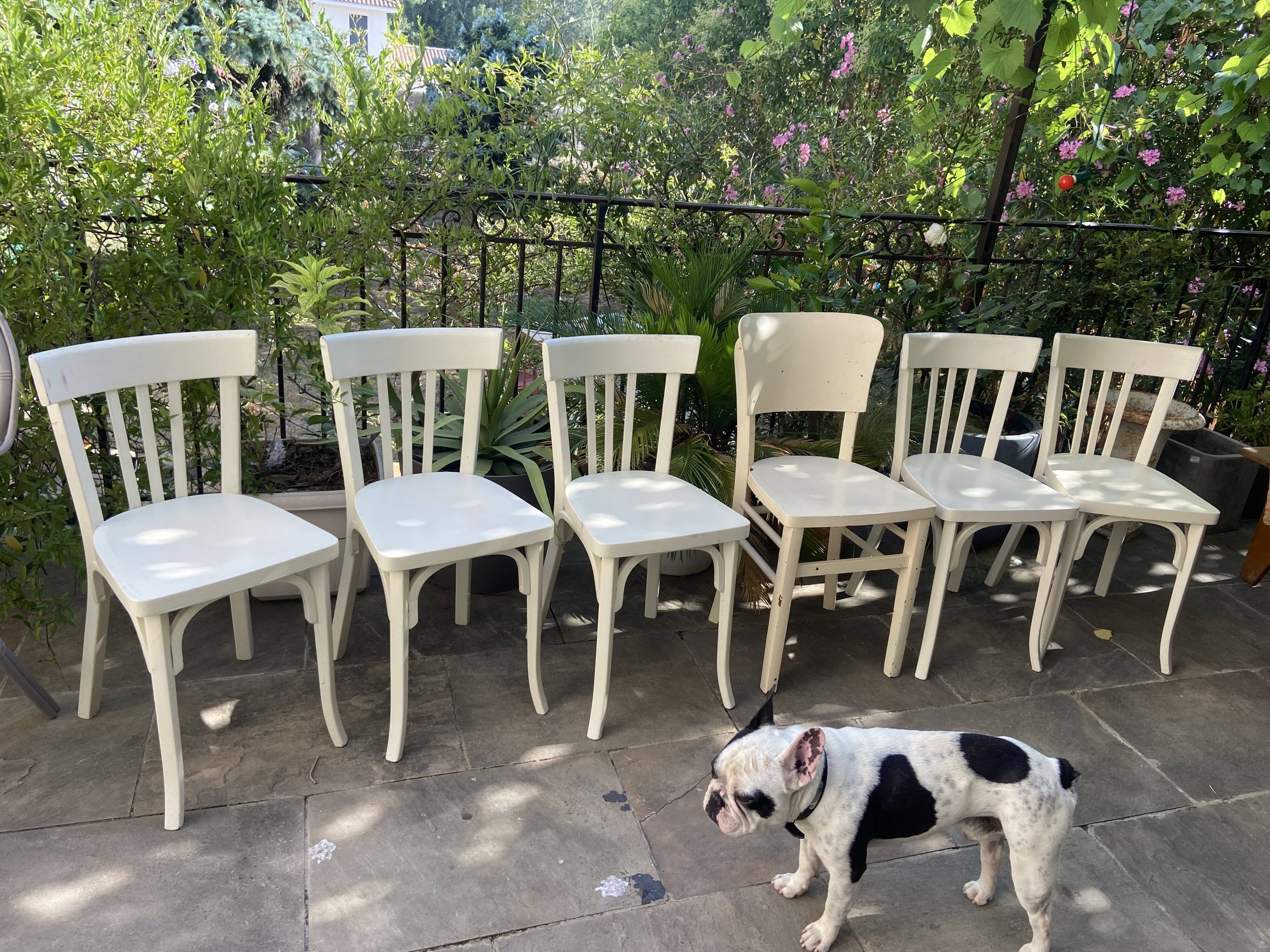 Série de 6 chaises bistrot Baumann vintage