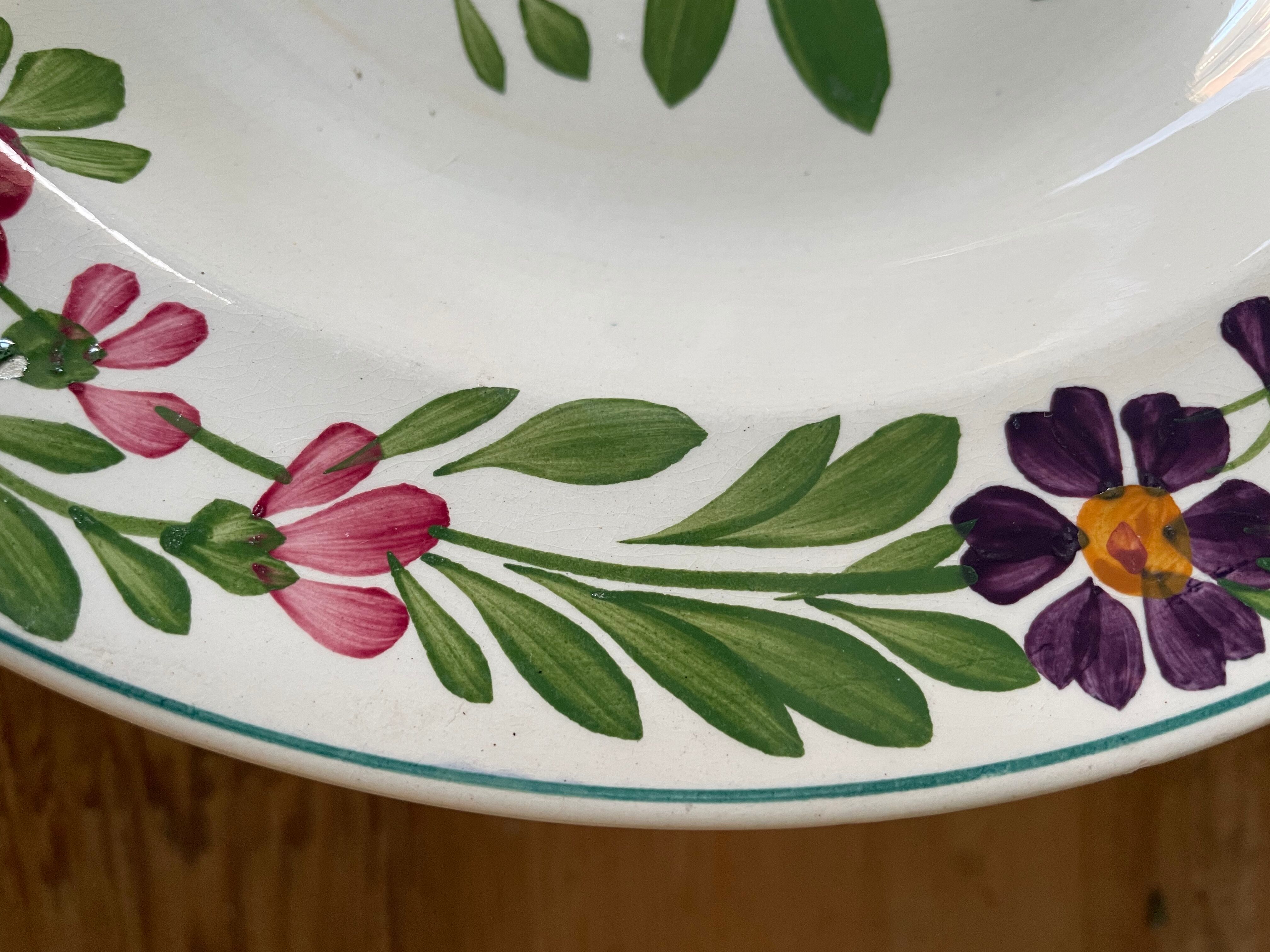 Set of 11 hollow plates in Sarreguemines earthenware, Rusticana model