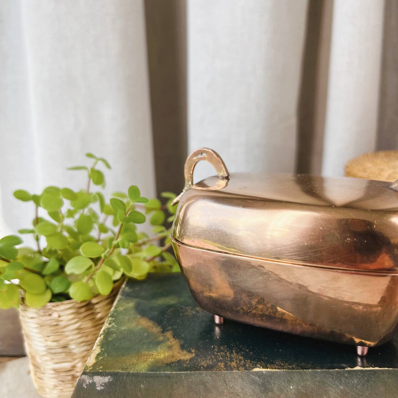 “Deer” brass box