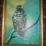 Old paintings