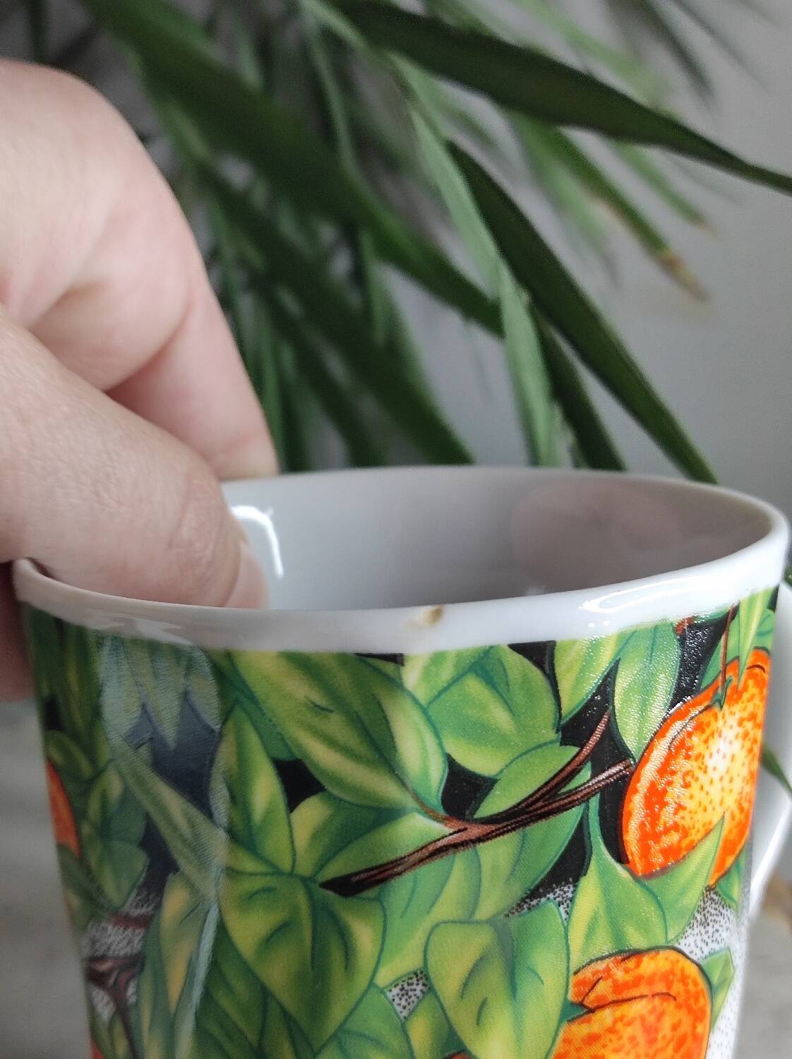 Chinese porcelain cups