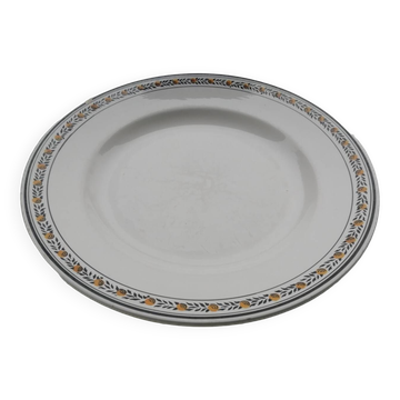 Plat Valence de Digoin