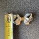 Name holders with bows in silver metal