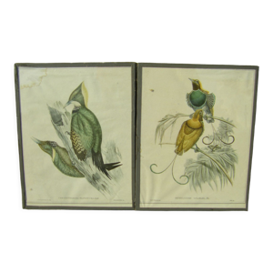 Paire de gravures  aux