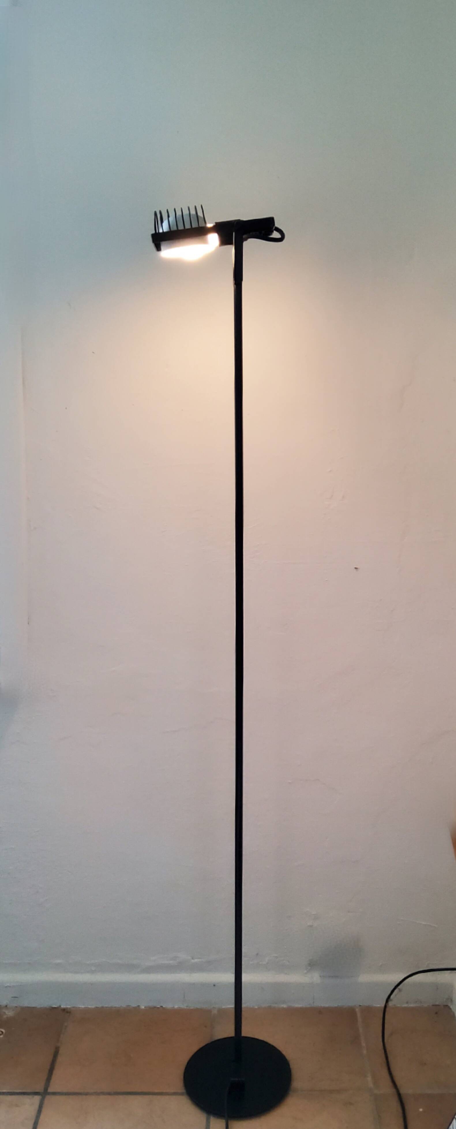 "sintesi terra" floor lamp, eternesto gismondi - 1970s