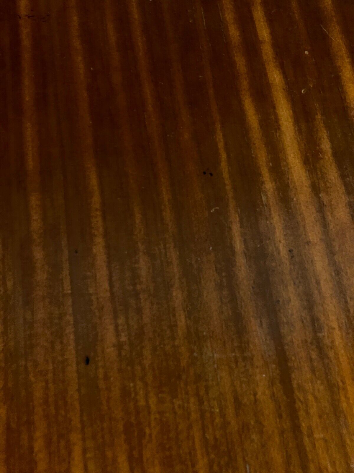 Office cm 172 Pierre Paulin in mahogany and metal circa 1960