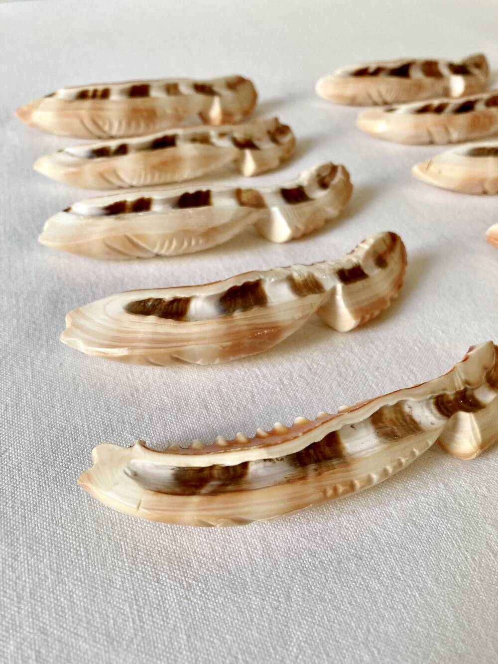 10 fish-shaped knife holders