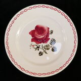 8 flat plates badonviller rose red