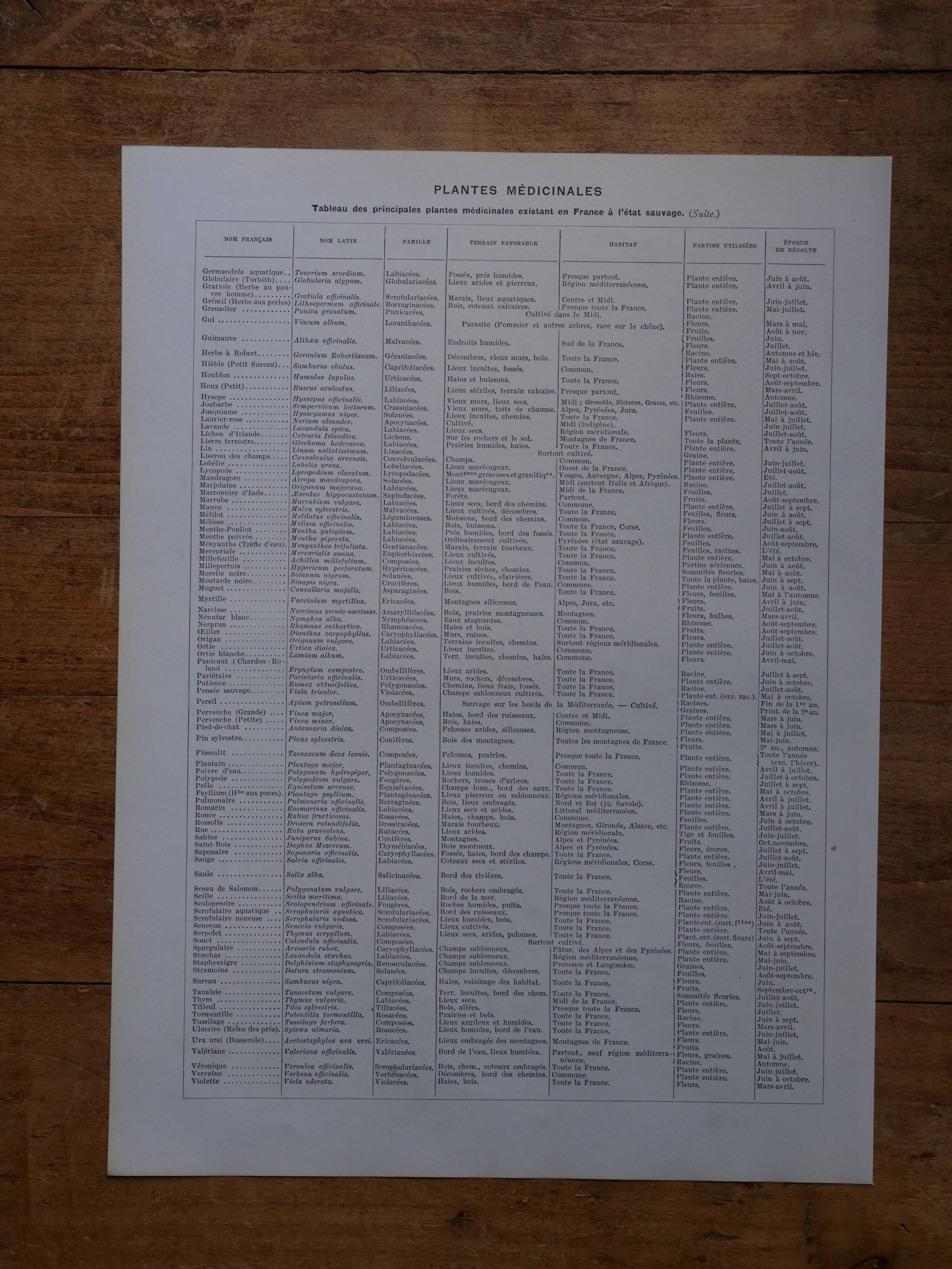 Original lithographs on medicinal plants