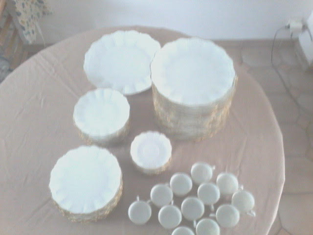 Dish service