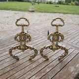 Antique brass andirons with lion decoration