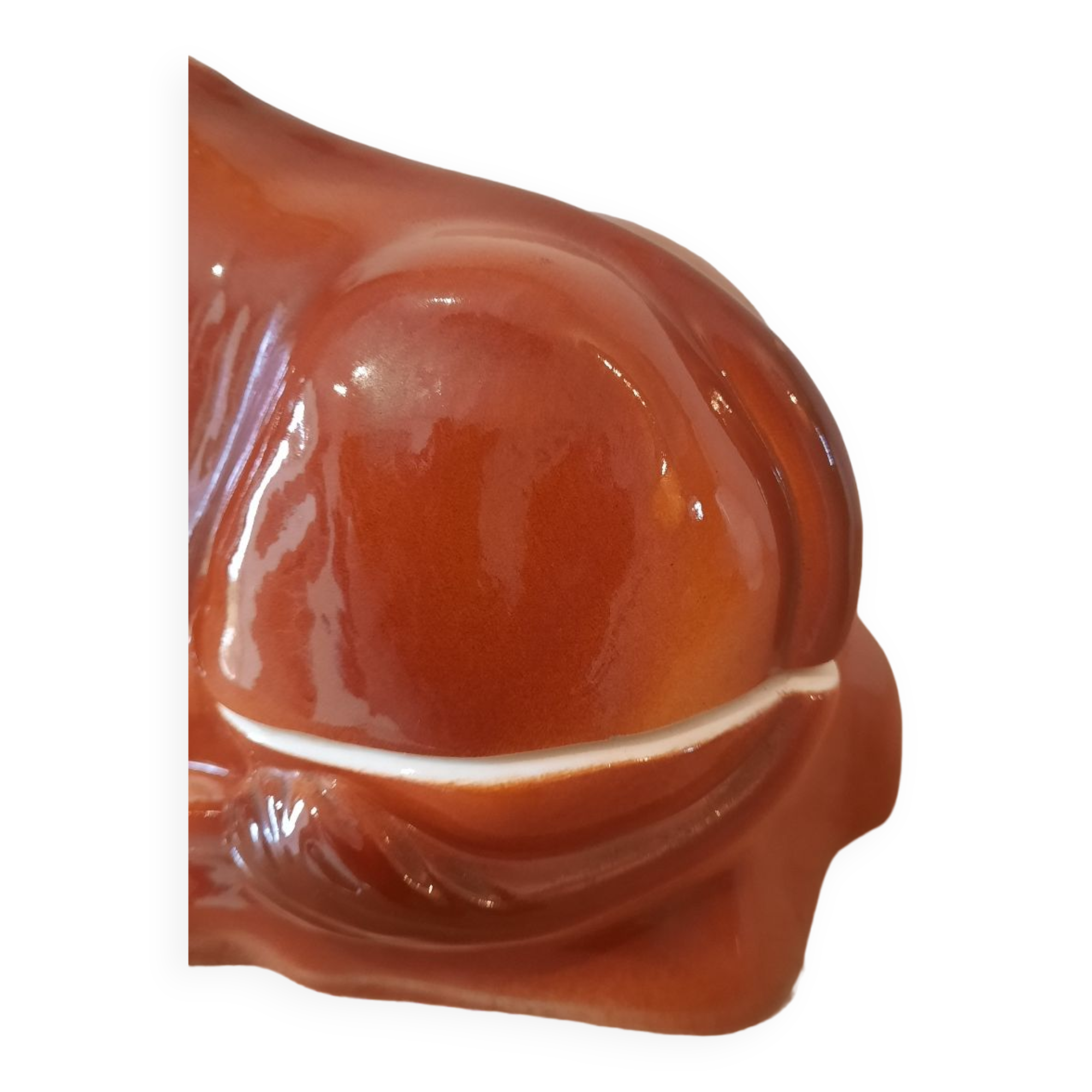 Terrine Bison Michel Caugan