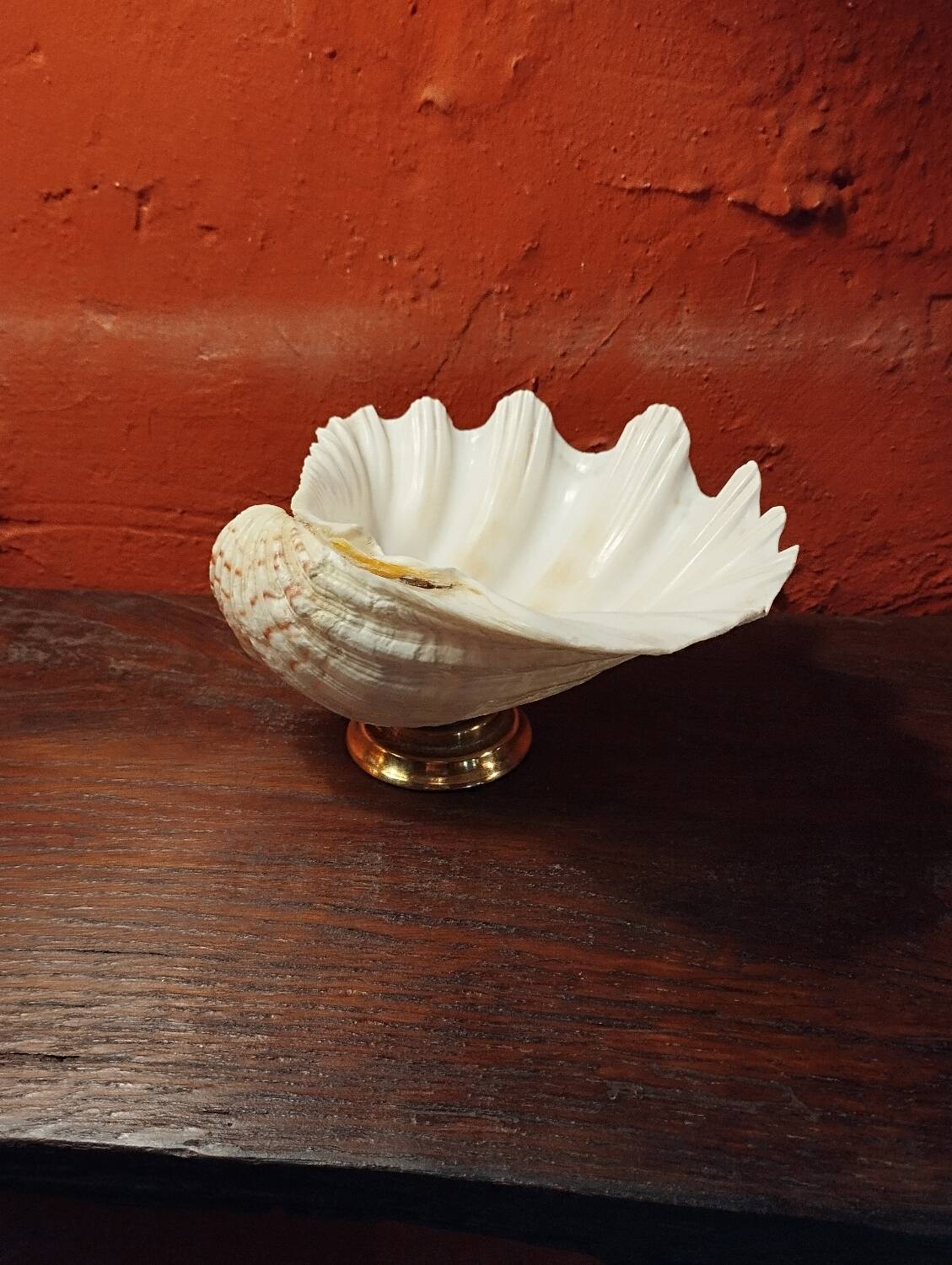 Shell on base, holy water font