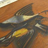 Painting Still Life Birds 1884