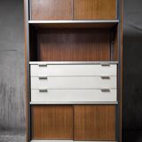 Vintage EFA bookcase and shelves by Georges Frydman
