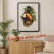 Vintage illustration - Toucan Ambigus by John Gould - bird plate