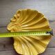 shell cup and bowl