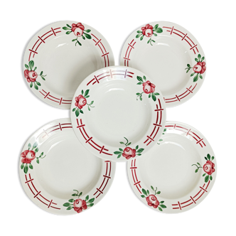 Set de 5 assiettes creuses Digoin Castille