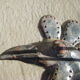 Vintage ceramics