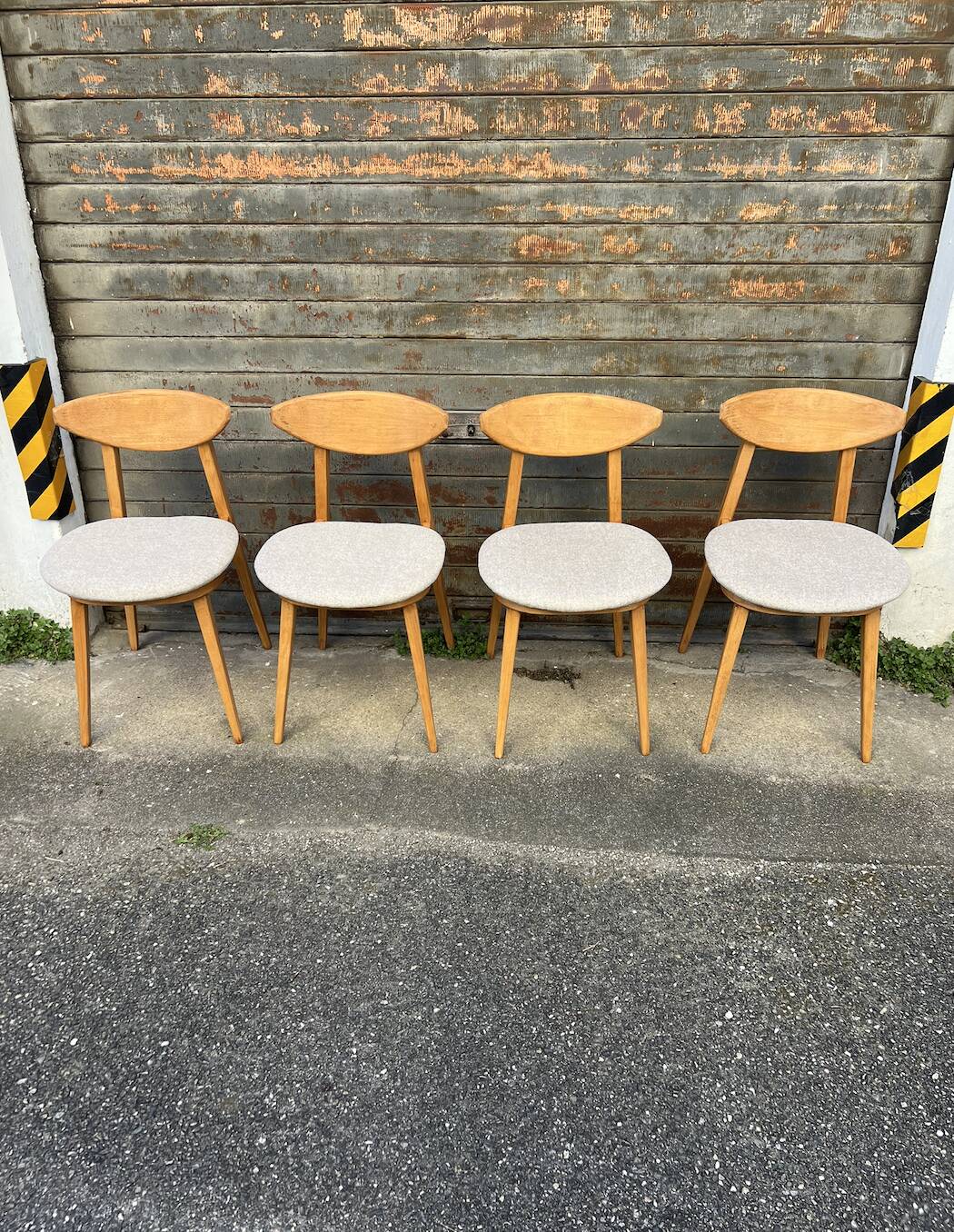 (Lot) 4 chaises Baumann Fontania (restaurées) 1960