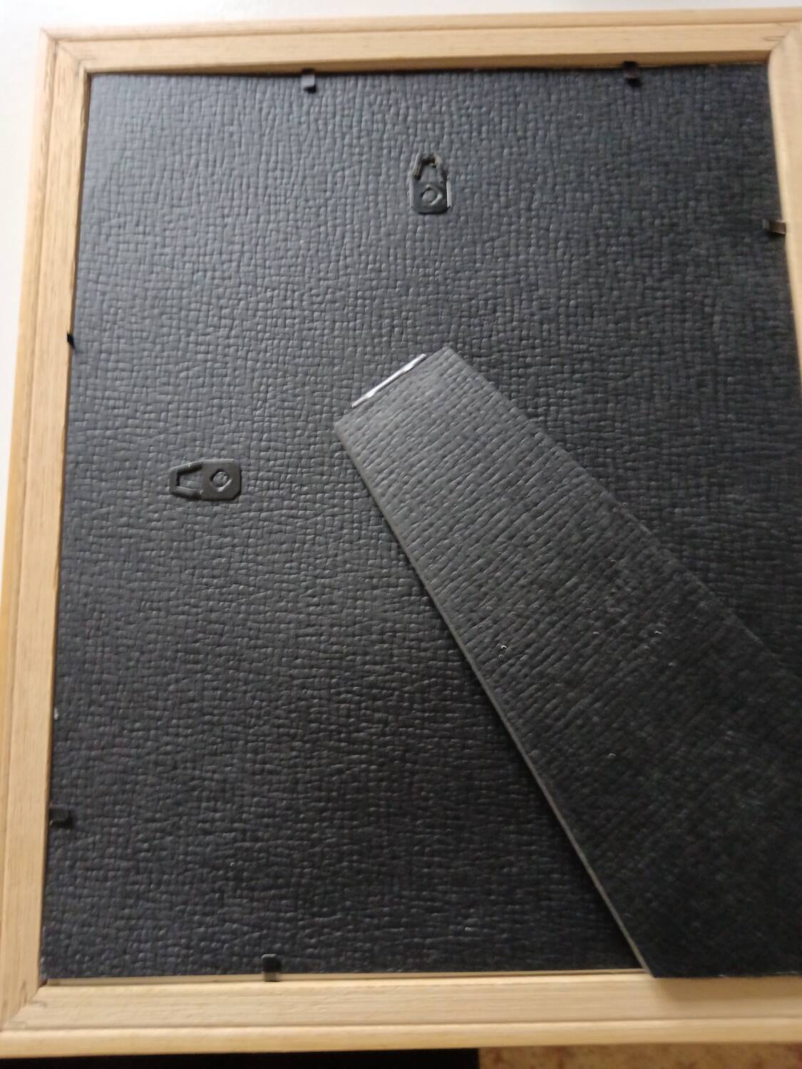 Vintage botanical illustration reboute.