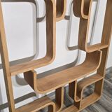 Room Divider by Ludvik Volak for Drevopodnik Holesov, 1950s