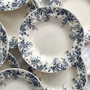 10 "Dodds" ironstone soup plates from Choisy le Roi
